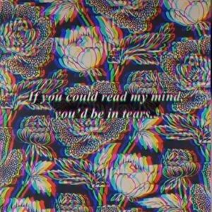 Meet your Posher, Clown